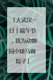 大武汉一日丨端午节，我为动物园小矮马做粽子