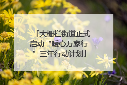 大栅栏街道正式启动“暖心万家行”三年行动计划