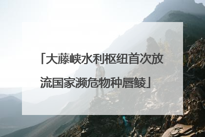 大藤峡水利枢纽首次放流国家濒危物种唇鲮