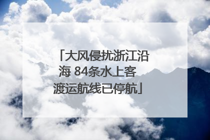 大风侵扰浙江沿海 84条水上客渡运航线已停航