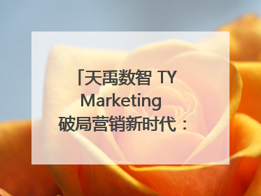 天禹数智 TY Marketing 破局营销新时代：智能体赋能与人才培育双轮驱动