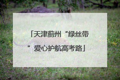 天津蓟州“绿丝带”爱心护航高考路