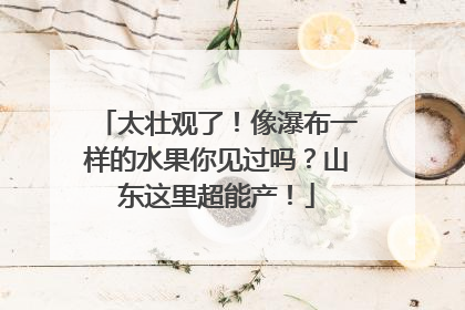 太壮观了！像瀑布一样的水果你见过吗？山东这里超能产！