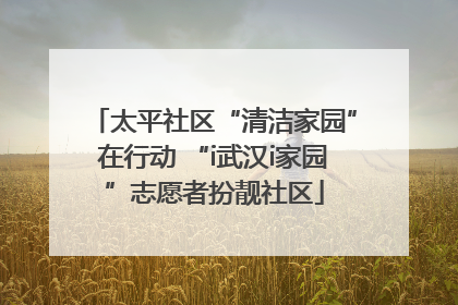 太平社区“清洁家园”在行动 “i武汉i家园”志愿者扮靓社区