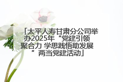 太平人寿甘肃分公司举办2025年“党建引领聚合力 学思践悟助发展”两当党建活动