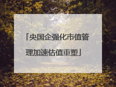 央国企强化市值管理加速估值重塑