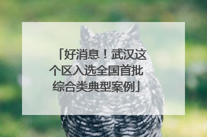 好消息！武汉这个区入选全国首批综合类典型案例