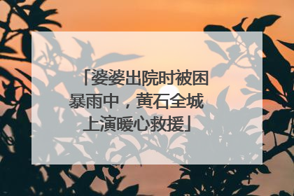 婆婆出院时被困暴雨中，黄石全城上演暖心救援