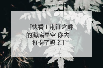 快看！荆江之畔的海底星空 你去打卡了吗？