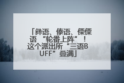 彝语、傣语、傈僳语 “轮番上阵”！这个派出所“三语BUFF”叠满