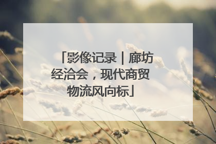 影像记录｜廊坊经洽会，现代商贸物流风向标
