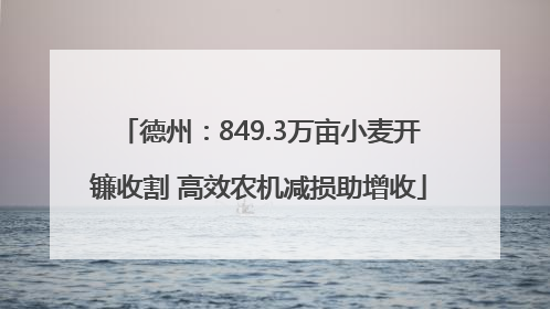 德州：849.3万亩小麦开镰收割 高效农机减损助增收
