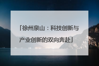 徐州泉山：科技创新与产业创新的双向奔赴