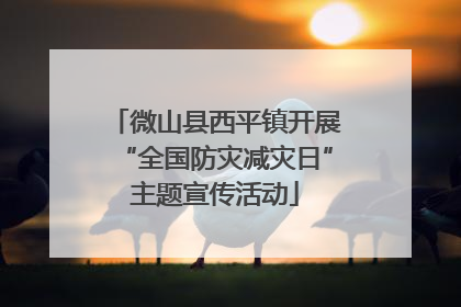 微山县西平镇开展“全国防灾减灾日”主题宣传活动
