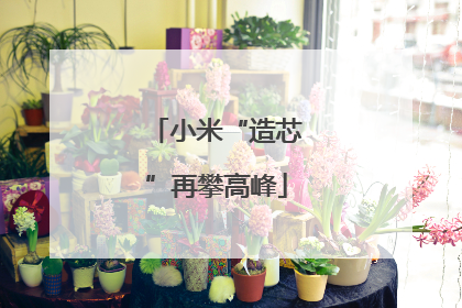 小米“造芯”再攀高峰