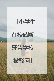 小学生在校磕断牙告学校被驳回