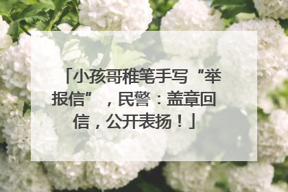 小孩哥稚笔手写“举报信”，民警：盖章回信，公开表扬！