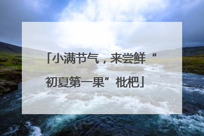 小满节气，来尝鲜“初夏第一果”枇杷