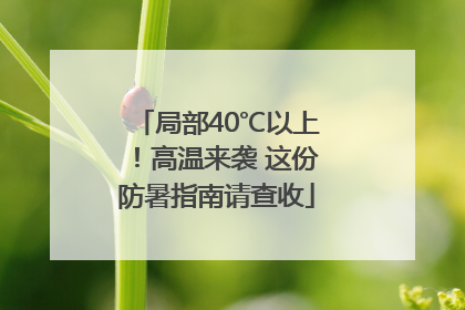 局部40℃以上！高温来袭 这份防暑指南请查收