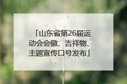 山东省第26届运动会会徽、吉祥物、主题宣传口号发布