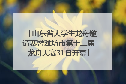 山东省大学生龙舟邀请赛暨潍坊市第十二届龙舟大赛31日开幕