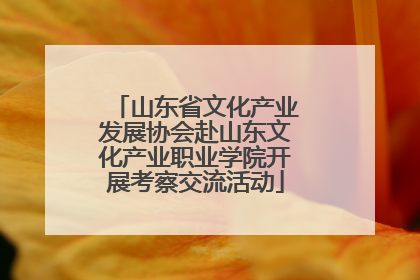 山东省文化产业发展协会赴山东文化产业职业学院开展考察交流活动