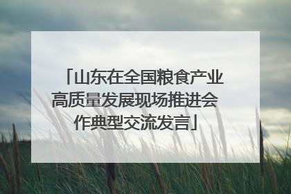 山东在全国粮食产业高质量发展现场推进会作典型交流发言