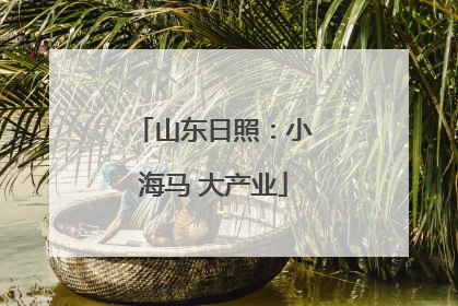 山东日照：小海马 大产业