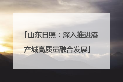 山东日照：深入推进港产城高质量融合发展