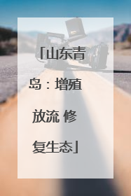山东青岛：增殖放流 修复生态