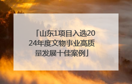 山东1项目入选2024年度文物事业高质量发展十佳案例
