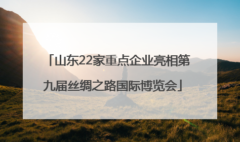 山东22家重点企业亮相第九届丝绸之路国际博览会