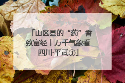 山区县的“药”香致富经丨万千气象看四川·平武③