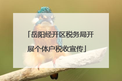 岳阳经开区税务局开展个体户税收宣传