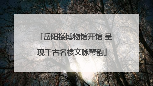 岳阳楼博物馆开馆 呈现千古名楼文脉琴韵