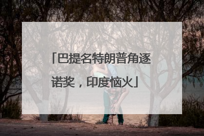 巴提名特朗普角逐诺奖，印度恼火