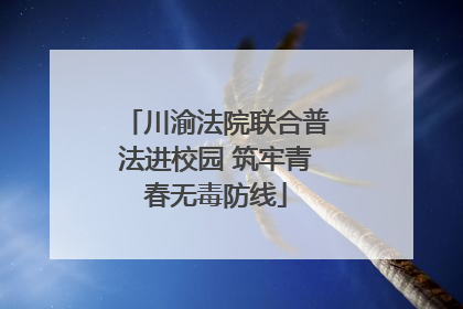 川渝法院联合普法进校园 筑牢青春无毒防线