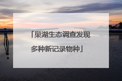 巢湖生态调查发现多种新记录物种