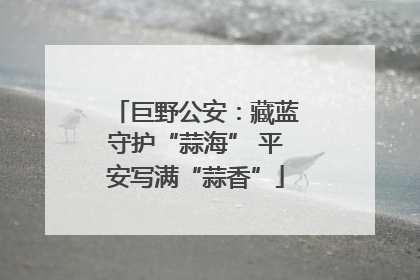 巨野公安：藏蓝守护“蒜海” 平安写满“蒜香”
