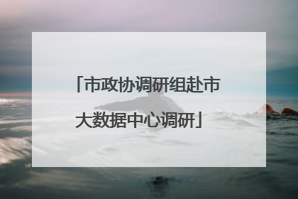 市政协调研组赴市大数据中心调研