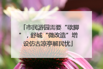 市民游园需要“歇脚”，舒城“微改造”增设仿古凉亭解民忧