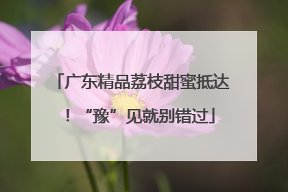 广东精品荔枝甜蜜抵达！“豫”见就别错过