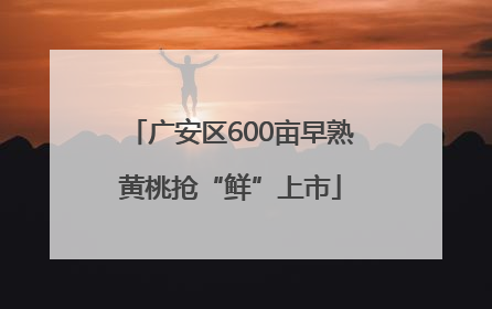 广安区600亩早熟黄桃抢“鲜”上市