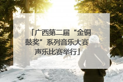 广西第二届“金铜鼓奖”系列音乐大赛声乐比赛举行
