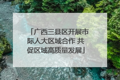 广西三县区开展市际人大区域合作 共促区域高质量发展