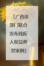 广西多部门联合发布残疾人权益典型案例