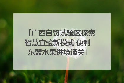 广西自贸试验区探索智慧查验新模式 便利东盟水果进境通关