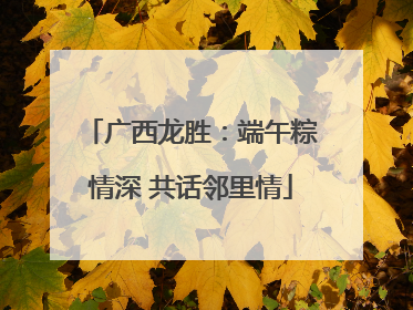 广西龙胜：端午粽情深 共话邻里情