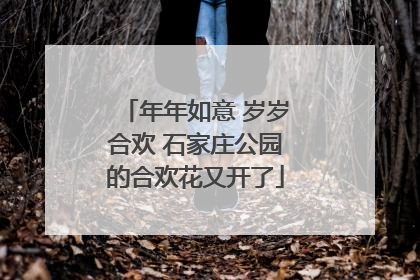 年年如意 岁岁合欢 石家庄公园的合欢花又开了
