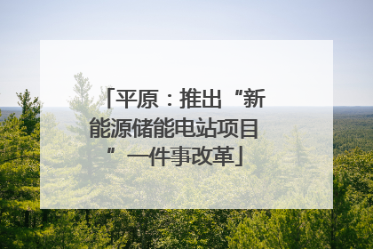 平原：推出“新能源储能电站项目”一件事改革